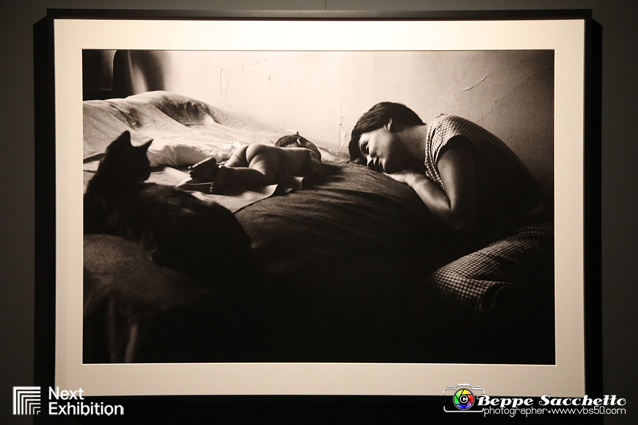VBS_9559 - Mostra Elliott Erwitt - Family.jpg